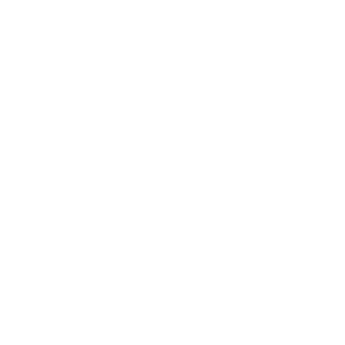 LOGOELTORO